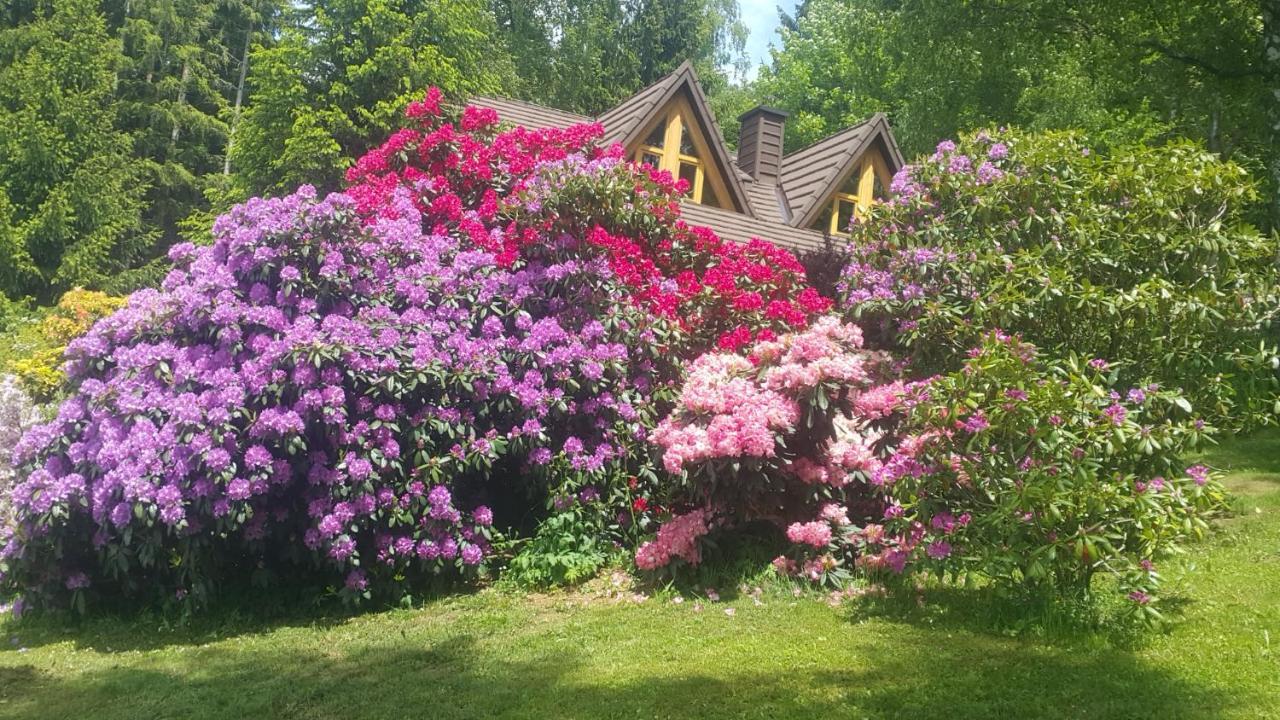 Chalet Bellevue Rogla Zreče Esterno foto